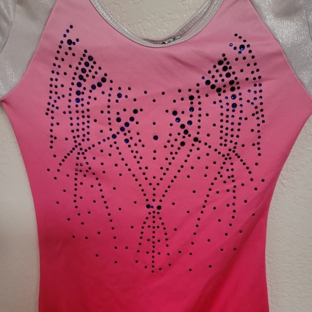 Vogue Fashions Pink and Silver Long Sleeve Leotard